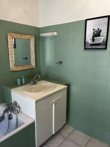 W łazience znajduje się umywalka, lustro i wanna. w obiekcie Petit paradis dans l'aveyron w mieście Saint-Jean-du-Bruel