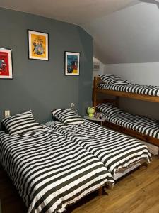 3 camas están alineadas en una habitación en Petit paradis dans l'aveyron, en Saint-Jean-du-Bruel