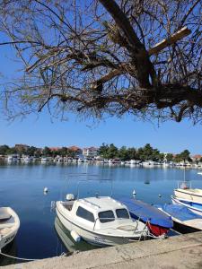 um grupo de barcos estão ancorados na água em Apartment Dario em Zadar