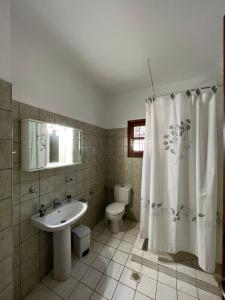 a bathroom with a sink and a toilet and a shower curtain at Valenthia in Agios Ioannis Pelio +31 photos