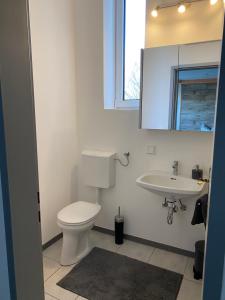 a bathroom with a toilet and a sink at Gästezimmer Sophie in Knittelfeld