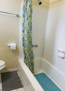 a bathroom with a shower with a shower curtain at Terrace Guest House in Tampa
