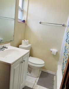 een badkamer met een wit toilet en een wastafel bij Terrace Guest House in Tampa