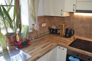 Η κουζίνα ή μικρή κουζίνα στο apartmán pod Ještědem