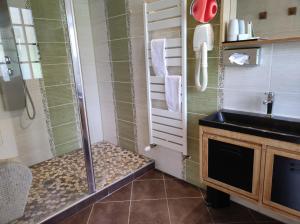 a bathroom with a shower and a sink at Le Relais Des Dalles in Sassetot-le-Mauconduit