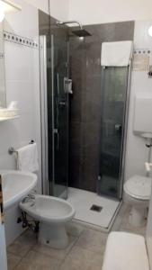 a bathroom with a shower and a sink and a toilet at Hotel Cinzia in Porto Garibaldi