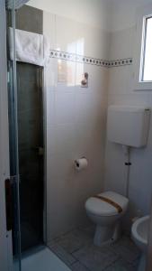 uma casa de banho com um WC e uma cabina de duche em vidro. em Hotel Cinzia em Porto Garibaldi