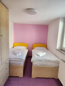 two twin beds in a small room with purple carpet at Apartma Nika in Planina