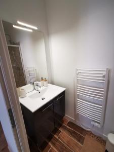 La salle de bains est pourvue d'un lavabo et d'un miroir. dans l'établissement Le Nica, à Trélazé