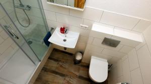 uma casa de banho com um WC, um lavatório e um chuveiro em Hof Stallegg em Löffingen