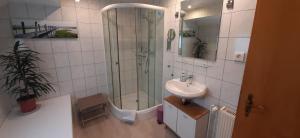 a bathroom with a glass shower and a sink at Möwennest in Wangerland-Frederikensiel