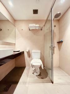 Park View Hotel في سنغافورة: حمام مع مرحاض ودش