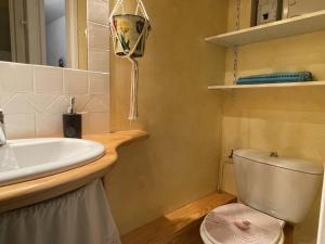 a bathroom with a toilet and a sink at Maison Vallouise, 2 pièces, 4 personnes - FR-1-330G-140 in Puy-Saint-Vincent