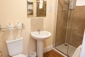 a bathroom with a toilet and a sink and a shower at Alban and Abbey House in Inverness