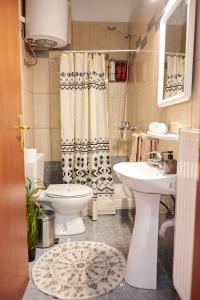 La salle de bains est pourvue de toilettes et d'un lavabo. dans l'établissement Boho House Florina, à Flórina