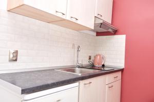 a kitchen with a sink and a red wall at Boho House Florina in Florina