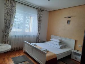 プトナにあるPensiunea Putnisoaraのギャラリーの写真 +32枚の写真