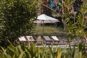 a group of lounge chairs with an umbrella at Quinta Da Bouca D'Arques in Vila de Punhe