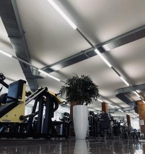 Spordikeskus ja/või sportimisvõimalused majutusasutuses Wellness Hotel Aquafit Sursee