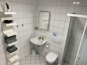 Un baño con lavabo, inodoro y espejo. en Apartment im Grünen bei Koblenz, en Vallendar