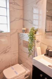 La salle de bains est pourvue de toilettes blanches et d'un lavabo. dans l'établissement Florina Sky Loft, à Flórina