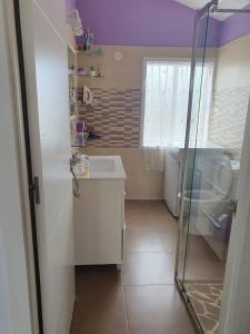 La petite salle de bains est pourvue d'un lavabo et d'une douche. dans l'établissement Apartamento Marypaz, à Valdoviño