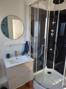 uma casa de banho com um chuveiro, um lavatório e um espelho. em L'Echappée Belle em Chartres