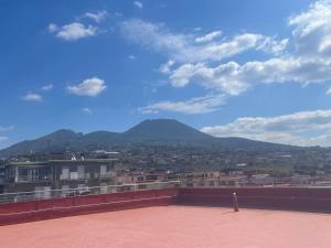 a view of a city with a mountain in the background at Terrazza Belvedere in Ercolano