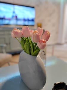 Fotografie z fotogalerie ubytování Nora 1 v destinaci Sremska Mitrovica + 3 fotografie