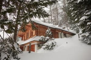 a house covered in snow in the woods at MOUNTAINRANGER - Lodge in Obertauern