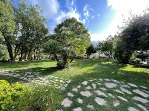 een grasveld met een boom in het midden bij Villa Misita in Prizzi