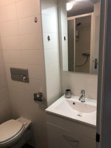 een badkamer met een wastafel, een toilet en een spiegel bij Agnes Apartman in Latschach