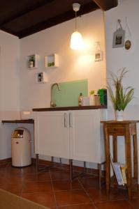 uma cozinha com um lavatório e um balcão em Apartment Luise em Hallstatt