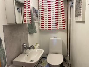 małą łazienkę z toaletą i umywalką w obiekcie Pelle Åbergsgården w mieście Nordingrå