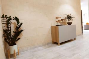 une salle avec un comptoir avec des plantes dans l'établissement 1bedroom Apartment Ghajnsielem, à Għajnsielem