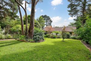 a garden with a tree and a house at Camellia Cottage in Wentworth Falls