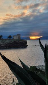 Galeriebild der Unterkunft Casa Gelso in Trappeto