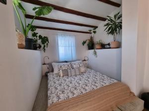 a bedroom with a bed in a room with plants at Casa 39 Apartments in Rovinj