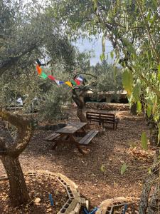 a kite flying over a picnic table in a park at Bethlehem-the-Wall Apartment in Bethlehem