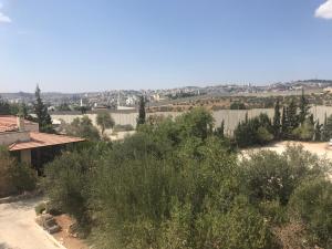 a view of a yard with bushes and a house at Bethlehem-the-Wall Apartment in Bethlehem