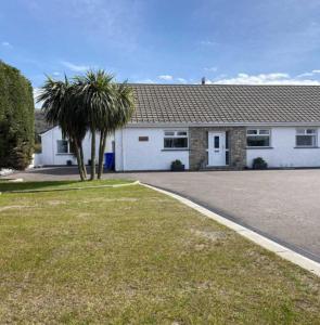 a house with a palm tree in front of it at Benone Getaways in Derry Londonderry