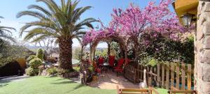 Jardín al aire libre en Viviendas Uso Turisitico, Al BUHAR