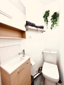 a bathroom with a toilet and a sink at Les studios de la Villa Jules Verne in Amiens