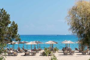 斯卡拉克弗隆尼亞斯的住宿－Anassa Hotel，海滩上的一组椅子和遮阳伞