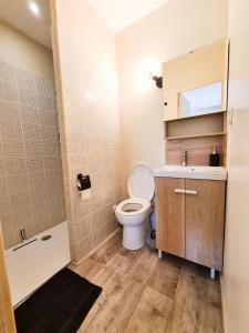 La salle de bains est pourvue de toilettes, d'un lavabo et d'un miroir. dans l'établissement Élégante suite à deux pas de la Cité Épiscopale d'Albi, à Albi