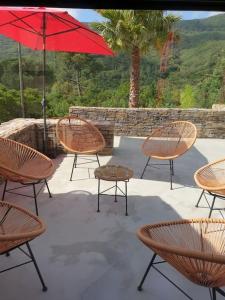 Zdjęcie z galerii obiektu Villa 200m2 au cœur des vignes- Golfe de St-Tropez w mieście La Môle