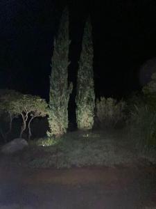 Zdjęcie z galerii obiektu Villa 200m2 au cœur des vignes- Golfe de St-Tropez w mieście La Môle
