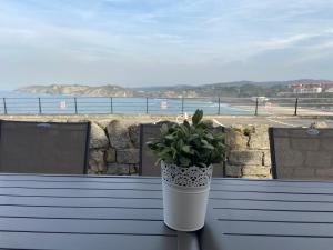 a white vase with a plant sitting on a bench at Casa del Muelle COMILLAS in Comillas