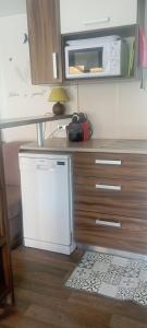 a kitchen with a microwave and a white dishwasher at Mobil-home Aventura 3 par Catherve in Canet-en-Roussillon
