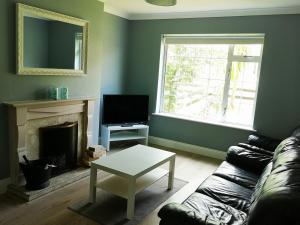 uma sala de estar com um sofá e uma lareira em Copper Coast Hideaway em Tramore